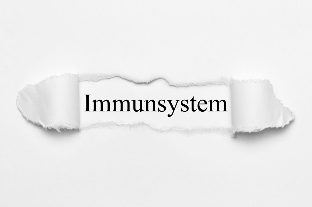 immunsystem-grafik
